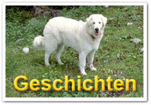 Bild "SARAH unser Kuvasz:Titelbutton_Geschichten_1.jpg"