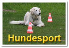 Bild "SARAH unser Kuvasz:Titelbutton_Hundesport_1.jpg"