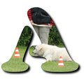 Bild "BILDER-CLIPART:BuchstabenSARAH_A1_120x.jpg"