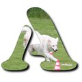 Bild "BILDER-CLIPART:BuchstabenSARAH_A2_120x.jpg"