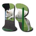 Bild "BILDER-CLIPART:BuchstabenSARAH_R_120x.jpg"