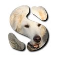 Bild "BILDER-CLIPART:BuchstabenSARAH_S_120x.jpg"