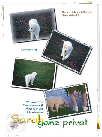 Bild "http://www.sarahsahni.de/bilder_sarah-fotoalbum/340x/Sarah-Fotoalbum_Seite_10.jpg"