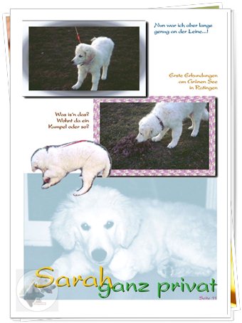 Bild "http://www.sarahsahni.de/bilder_sarah-fotoalbum/340x/Sarah-Fotoalbum_Seite_11.jpg"