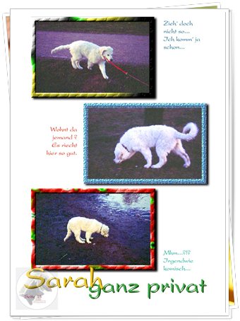 Bild "http://www.sarahsahni.de/bilder_sarah-fotoalbum/340x/Sarah-Fotoalbum_Seite_14.jpg"