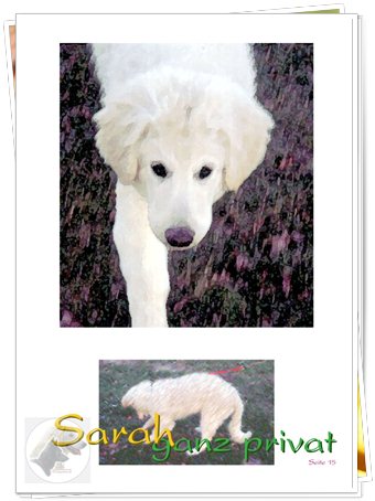 Bild "http://www.sarahsahni.de/bilder_sarah-fotoalbum/340x/Sarah-Fotoalbum_Seite_15.jpg"