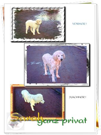 Bild "http://www.sarahsahni.de/bilder_sarah-fotoalbum/340x/Sarah-Fotoalbum_Seite_16.jpg"