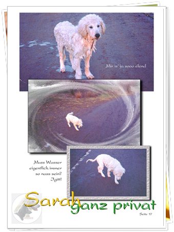 Bild "http://www.sarahsahni.de/bilder_sarah-fotoalbum/340x/Sarah-Fotoalbum_Seite_17.jpg"