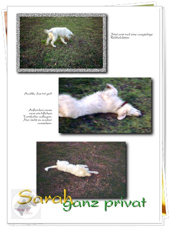 Bild "http://www.sarahsahni.de/bilder_sarah-fotoalbum/340x/Sarah-Fotoalbum_Seite_20.jpg"