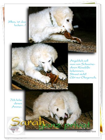 Bild "http://www.sarahsahni.de/bilder_sarah-fotoalbum/340x/Sarah-Fotoalbum_Seite_32.jpg"