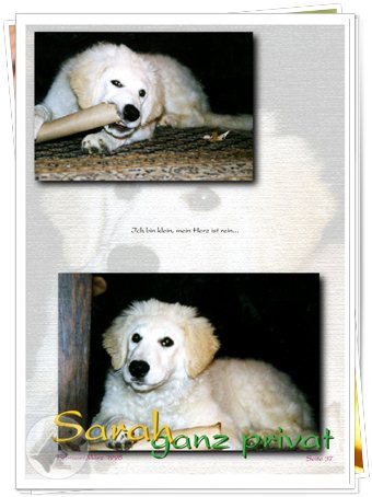 Bild "http://www.sarahsahni.de/bilder_sarah-fotoalbum/340x/Sarah-Fotoalbum_Seite_37.jpg"