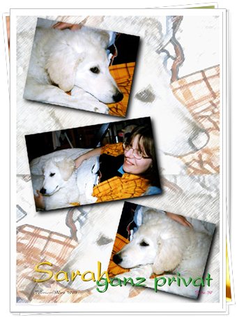 Bild "http://www.sarahsahni.de/bilder_sarah-fotoalbum/340x/Sarah-Fotoalbum_Seite_39.jpg"