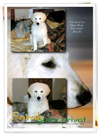 Bild "http://www.sarahsahni.de/bilder_sarah-fotoalbum/340x/Sarah-Fotoalbum_Seite_40.jpg"