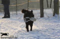 img2010-01-26_068.jpg