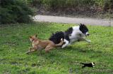 img2010-04-02_055.jpg