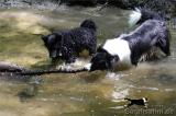 img2010-05-25_124.jpg