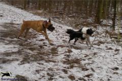 img2011-02-24_001_buttonjoy.jpg