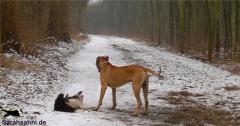 img2011-02-24_002_buttonjoy.jpg