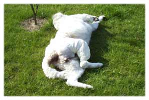 Sarah mit Verband
