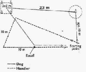 Bild "OBEDIENCE:ZeichnungOB3_2.jpg"