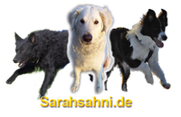 Bild "SARAHSAHNI intern:Logo-3Hunde-2010_200x.png"