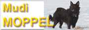unser Mudi Moppel