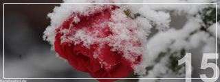 Bild "http://www.sarahsahni.de/infos-cms/galerien/Vorschau_Bild-des-Tages-2012_Winter/15.jpg"