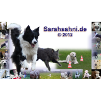Bild "START:LOGO_3HundeTitel2012_200x200.png"