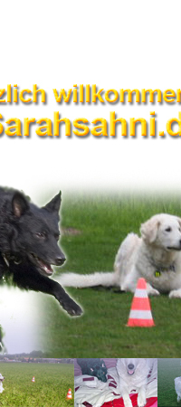 Bild "START:Titelbild3Hunde_2015_Slice3.jpg"