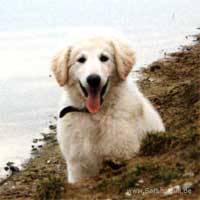 Bild "INTERN:SarahBI006.jpg"