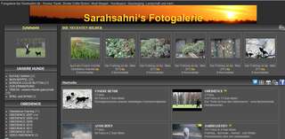 Bild "INTERN:Screenshot-Sarahsahni-Fotogalerie-LOW320x.jpg"