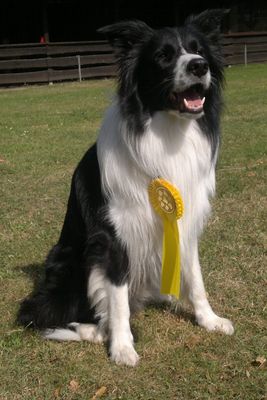 Bild "ARCHIV 2011-2014:2012-09-09-606_Button_LOW400x.jpg"