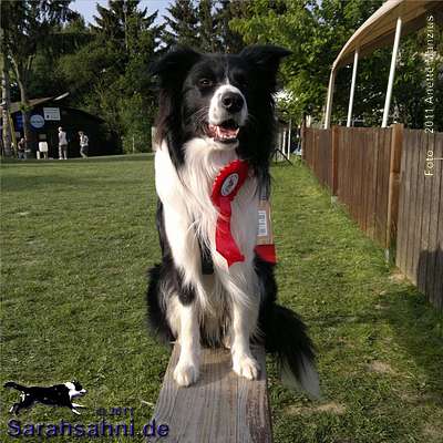 Bild "IMG2011-05-07_017_Button_400x.jpg"