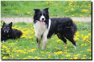 Bild "ARCHIV 2011-2014:IMG2012-04-29_087.JPG"