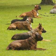 Bild "ARCHIV 2011-2014:IMG2012-06-03_Foto-Gruppe_240x.jpg"