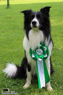 Bild "ARCHIV 2011-2014:Low_IMG2012-07-10_028_Button-mit-Schleife_320x.jpg"