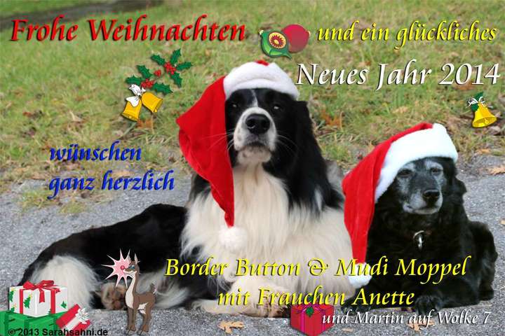Bild "ARCHIV 2011-2014:Weihnachtskarte_Moppel-Button_2013_720x.jpg"