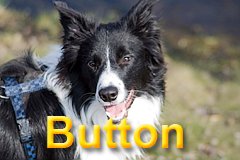 Bild "BUTTON-TitelTASTE_Button_1.jpg"