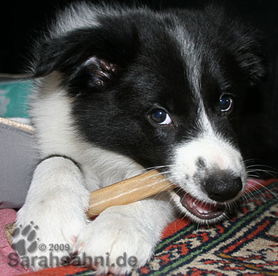 Bild "ARCHIV 2003-2010:BabyButton_400x.jpg"