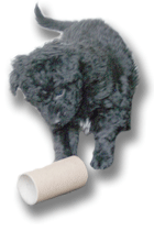 Bild "MWelpe-XX01.gif"