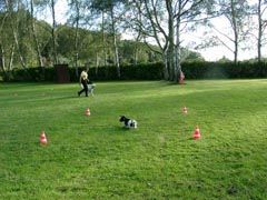 Bild "OB_TR_Goe_002L.jpg"