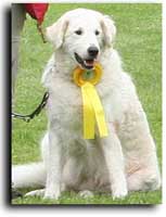 Bild "Sarah-mit-OB-Schleife-Gut-220505pre.jpg"