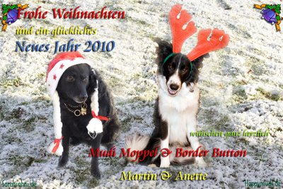 Bild "Weihnachtsmuetzen-Karte_2009-Moppel-Button_400x.jpg"