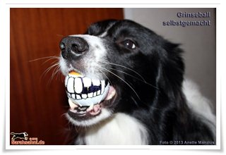 Bild "BILDERSAMMLUNGEN:Button-Grinseball_320x.jpg"