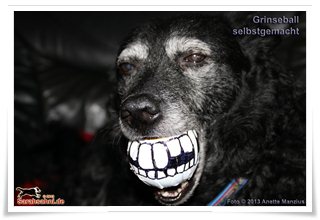 Bild "BILDERSAMMLUNGEN:Moppel-Grinseball_320x.jpg"