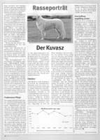 Rasseportrait "Der Kuvasz" Seite 4