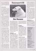 Rasseportrait "Der Kuvasz" Seite 1